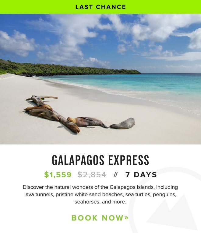 Galapagos Express - Last Chance