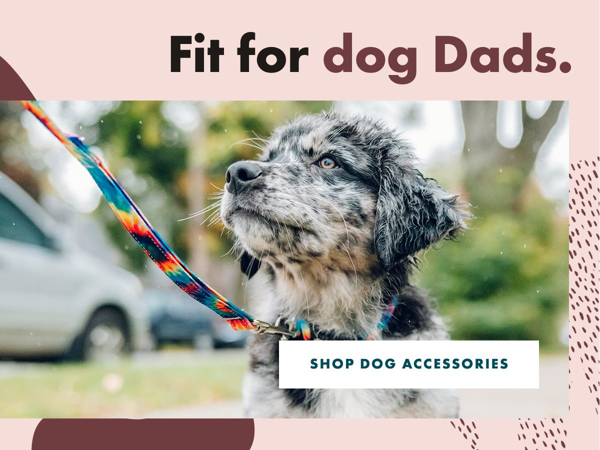 CHACO - FATHER'S DAY - I GUESS DOG DAD COUNTS? - IMG