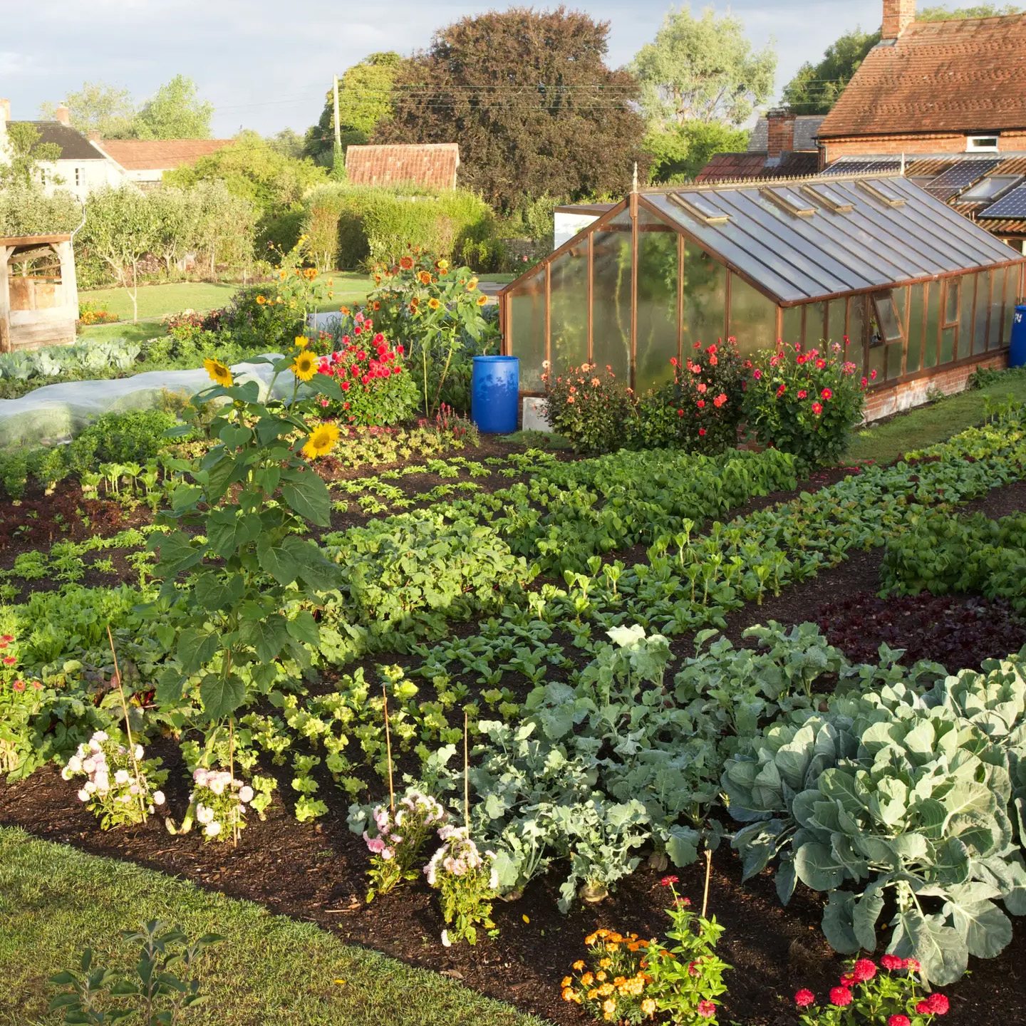 I (Basically) Stopped Weeding Thanks to This Game-Changing Gardening Method