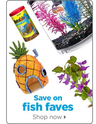 Save on fish faves. Shop now.