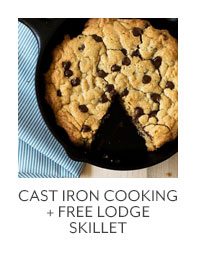 Cast Iron + Free lodge Skillet