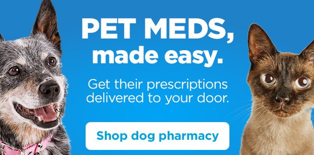 Pet meds, made easy. Get their prescriptions delivered to your door. Shop dog pharmacy.