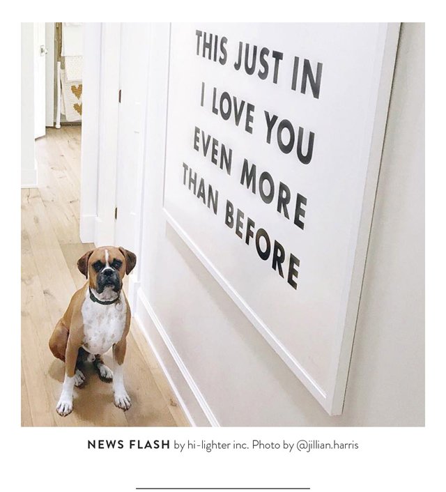 News Flash by Hi-Lighter Inc. Photo by @jillian.harris