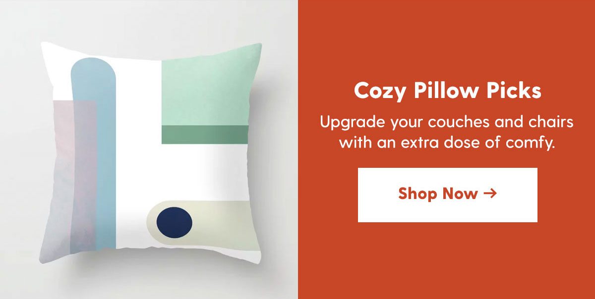 Cozy Pillow Picks 