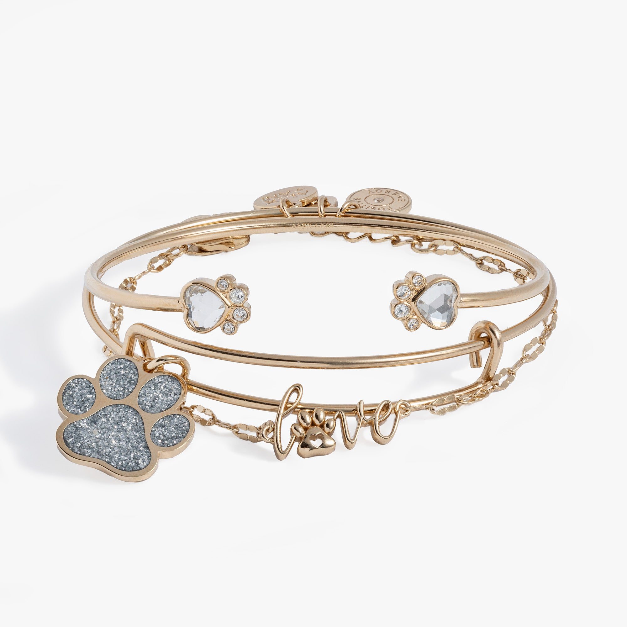 Paws of Love Bracelet Set