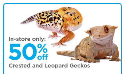 In-store only: 50% off Crested and Leopard Geckos.