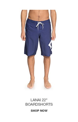 Product 2 - Lanai 22 In - Boardshorts