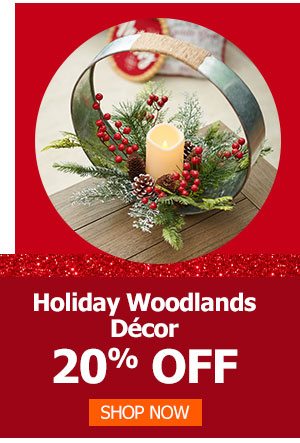 Holiday Woodlands Décor 20% Off
