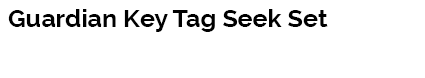 Guardian Key Tag Seek Set