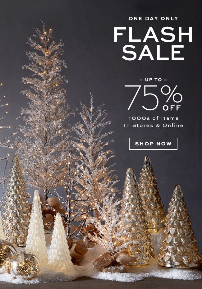 FLASH SALE