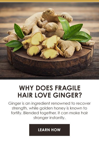 WHY DOES FRAGILE HAIR LOVE GINGER? - Ginger is an ingredient renowned to recover strength, while golden honey is known to fortify. Blended together, it can make hair stronger instantly. - LEARN HOW