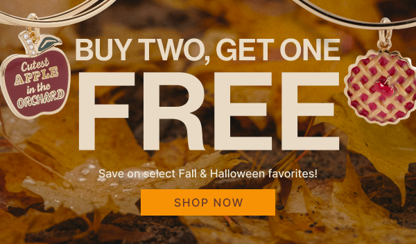 Buy 2, Get 1 FREE | SHOP NOW