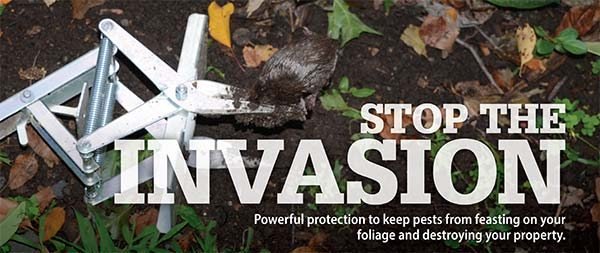 Stop the Invasion - Powerful protection to keep pests from feasting on your foliage and destroying your property.