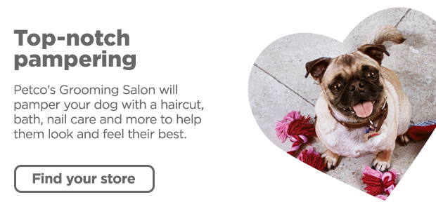 Top-notch pampering. Petco's Grooming Salon will pamper your dog with a haircut, bath, nail care and more to help them look and feel their best. Find your store >
