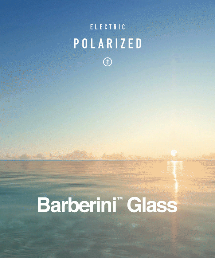 Polarized Glass