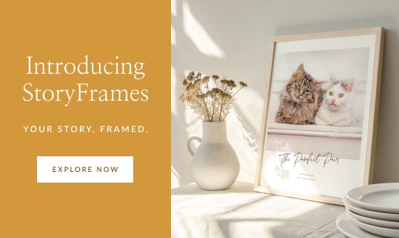 StoryFrames