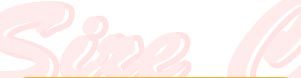 Plus Size Collection
