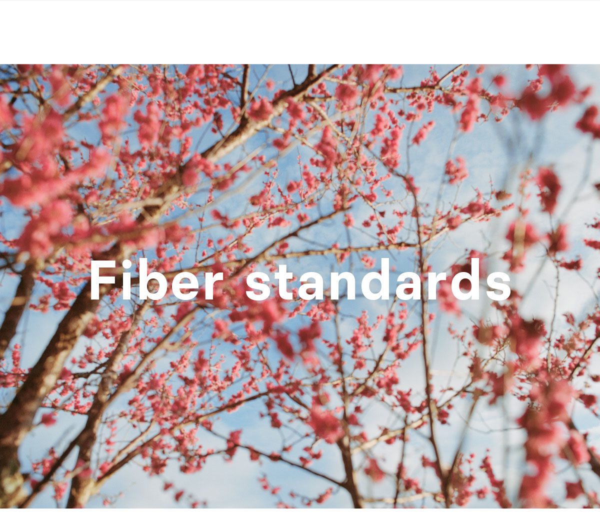 Fiber Standards