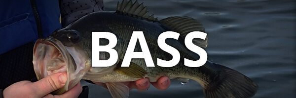 Shop a growing selection of bass gear from popular manufacturers at FishUSA!