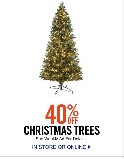 S04_Christmas_Trees