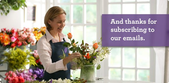 Welcome And thanks for subscribing to our emails.