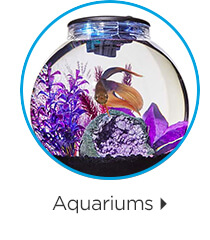 Aquariums.