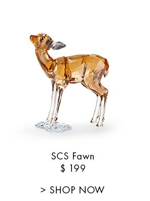 SCS Fawn
