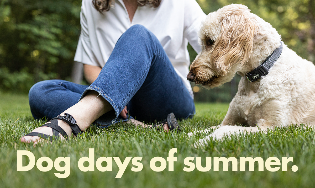 Dog days of summer.