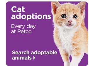 Cat adoptions. Every day at Petco. Search adoptable animals.