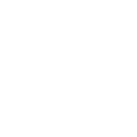 evo Logo