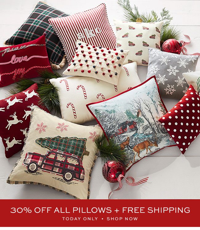 30% OFF ALL PILLOWS