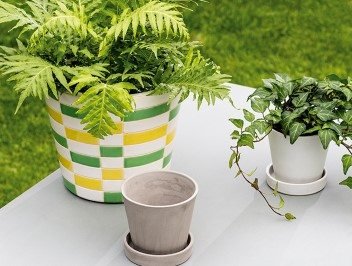 Blue, white and green pots and planters
