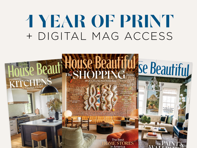 1 year of print plus digital mag access