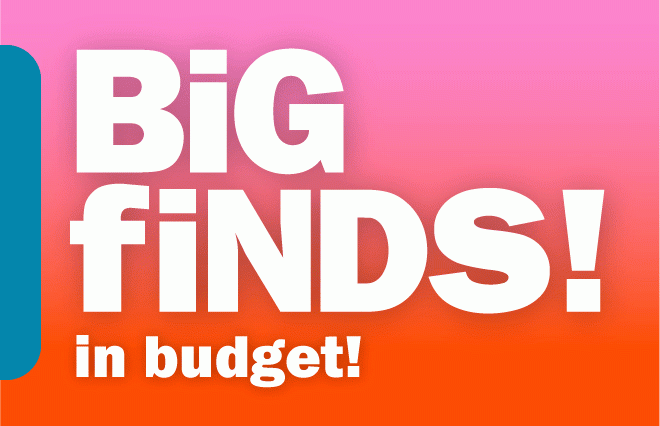 big finds in budget!