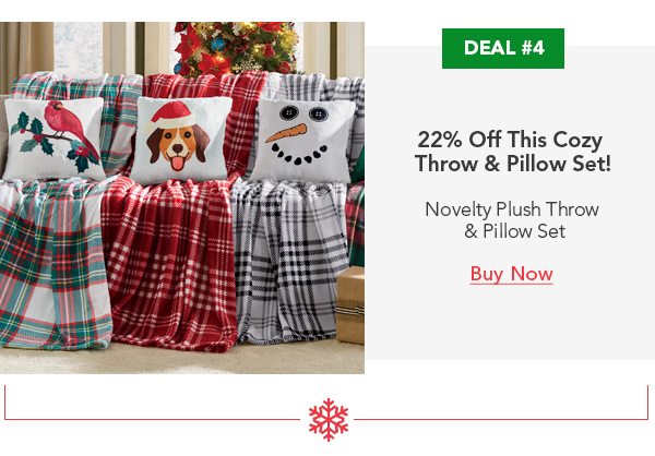 Deal #4 22% Off This Cozy Throw & Pillow Set! Novelty Plush Throw & Pillow Set Buy Now