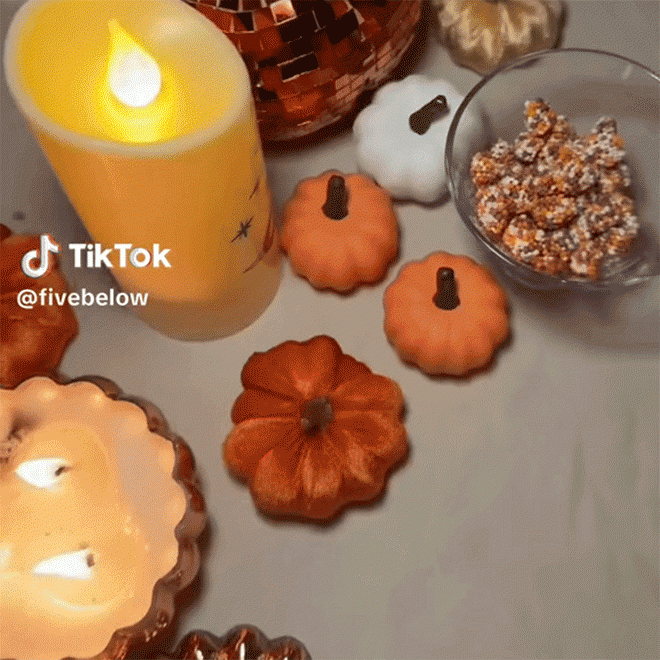 pumpkin everything gif