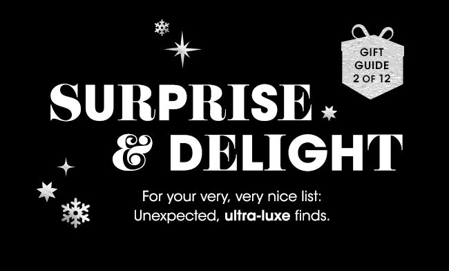 SURPRISE & DELIGHT