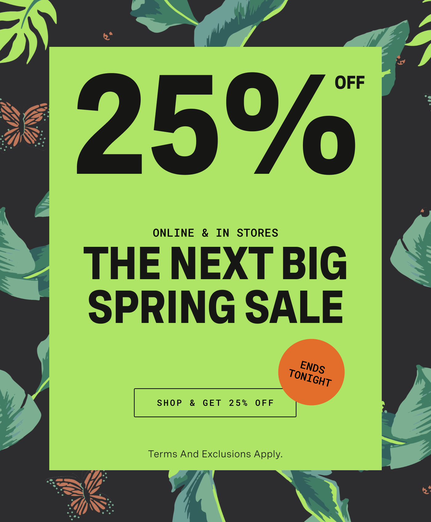 Spring Sale Get 25% Off for a Limited Time