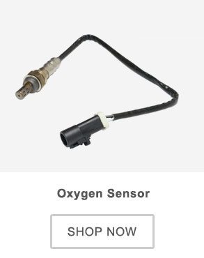 Oxygen Sensor