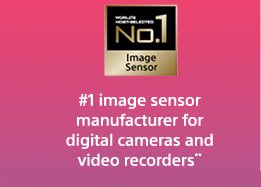 #1 image sensor manufacturer for digital cameras and video recorders**