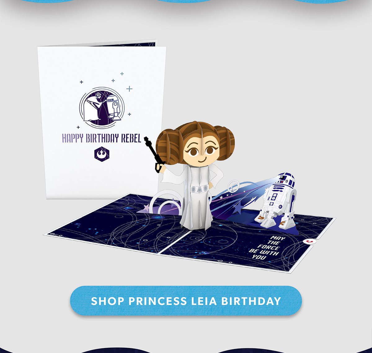 Shop Princess Leia Birthday