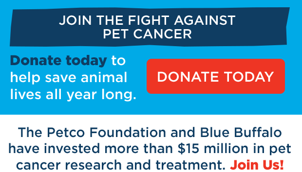 Donate to Join the Fight Against Pet Cancer.