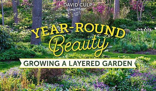 Year-Round Beauty: Growing a Layered Garden