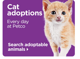 Cat adoptions. Every day at Petco. Search adoptable animals.