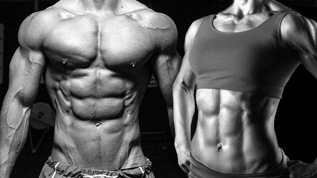 Lose Fat and Build Muscle