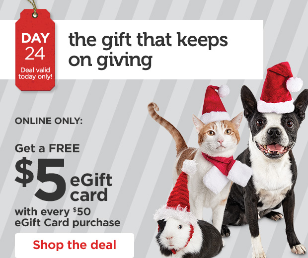 DAY 24. Deal valid today only! The gift that keeps on giving. ONLINE ONLY: Get a FREE $5 eGift card with every $50 eGift Card purchase. Shop the deal. 