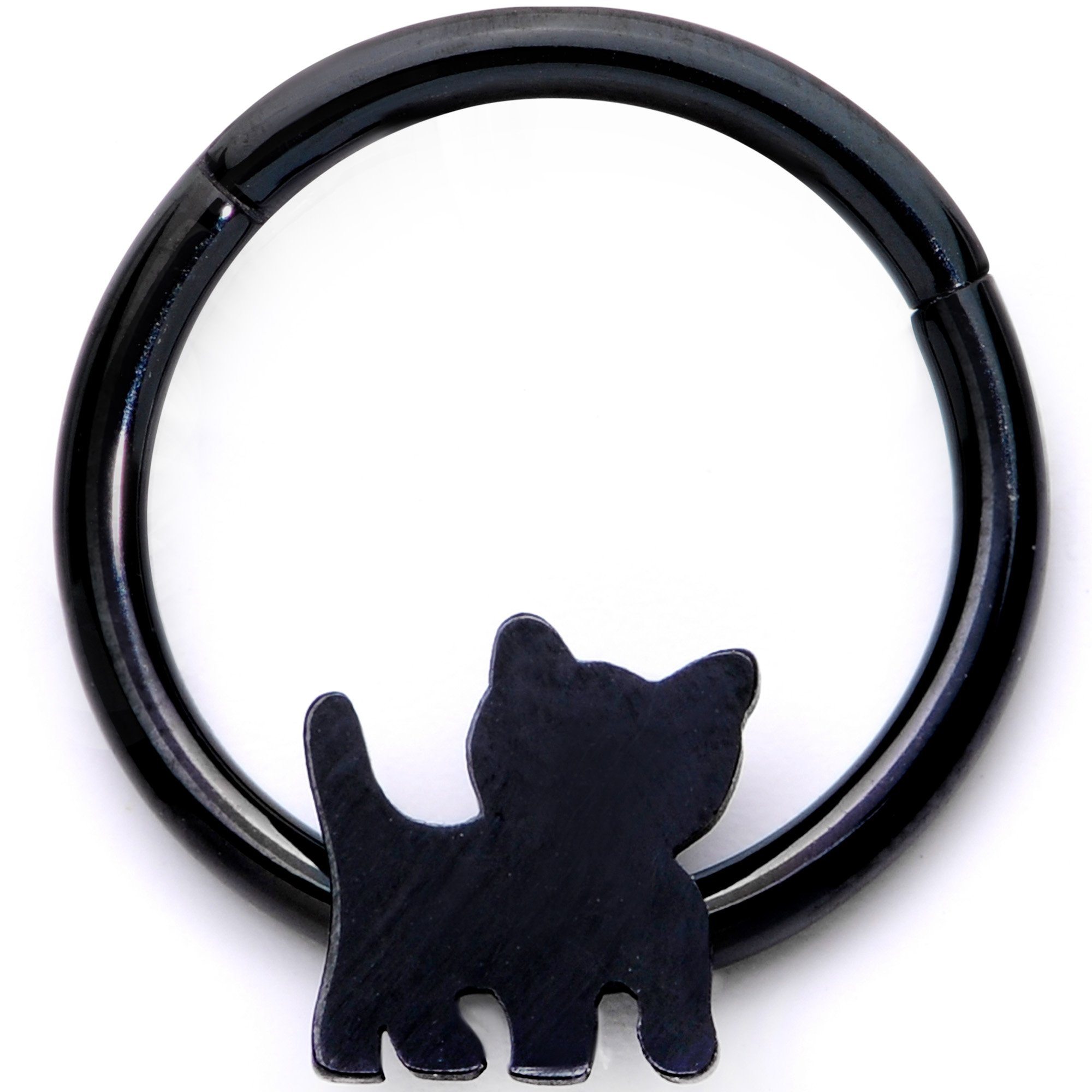 Image of 16 Gauge Black Kitty Segment Ring