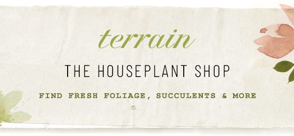 Shop Terrain.