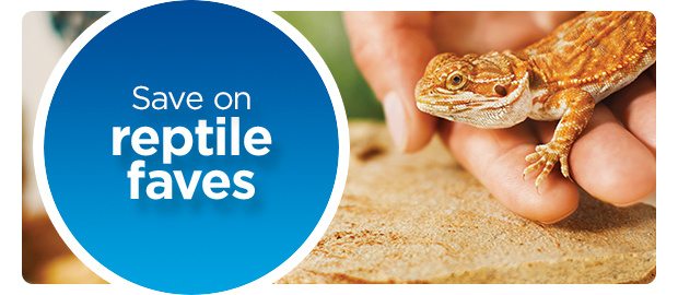 Save on reptile faves.