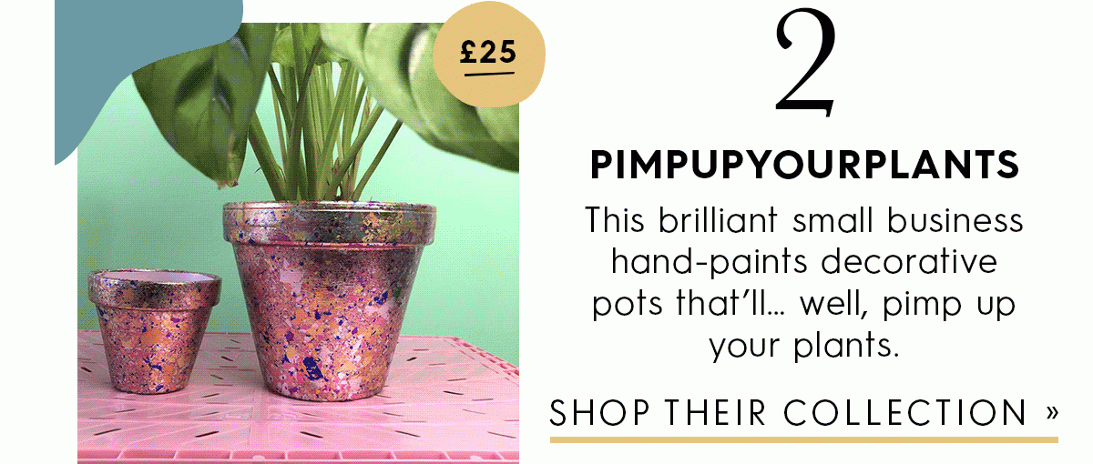 Pimpupyourplants